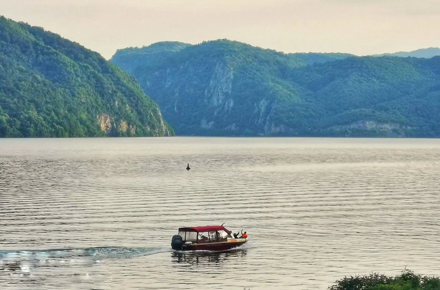 104241644_1357862604423733_7474001532870867522_n