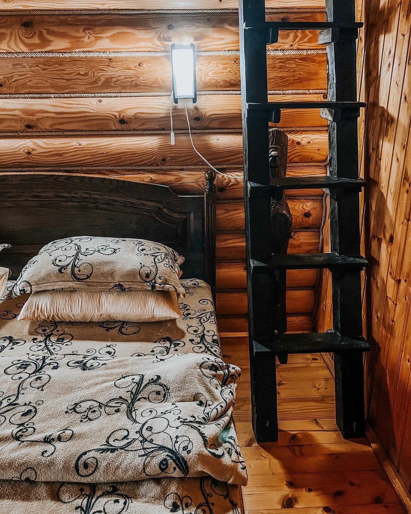 337770695_538993125016858_414927381142331527_n