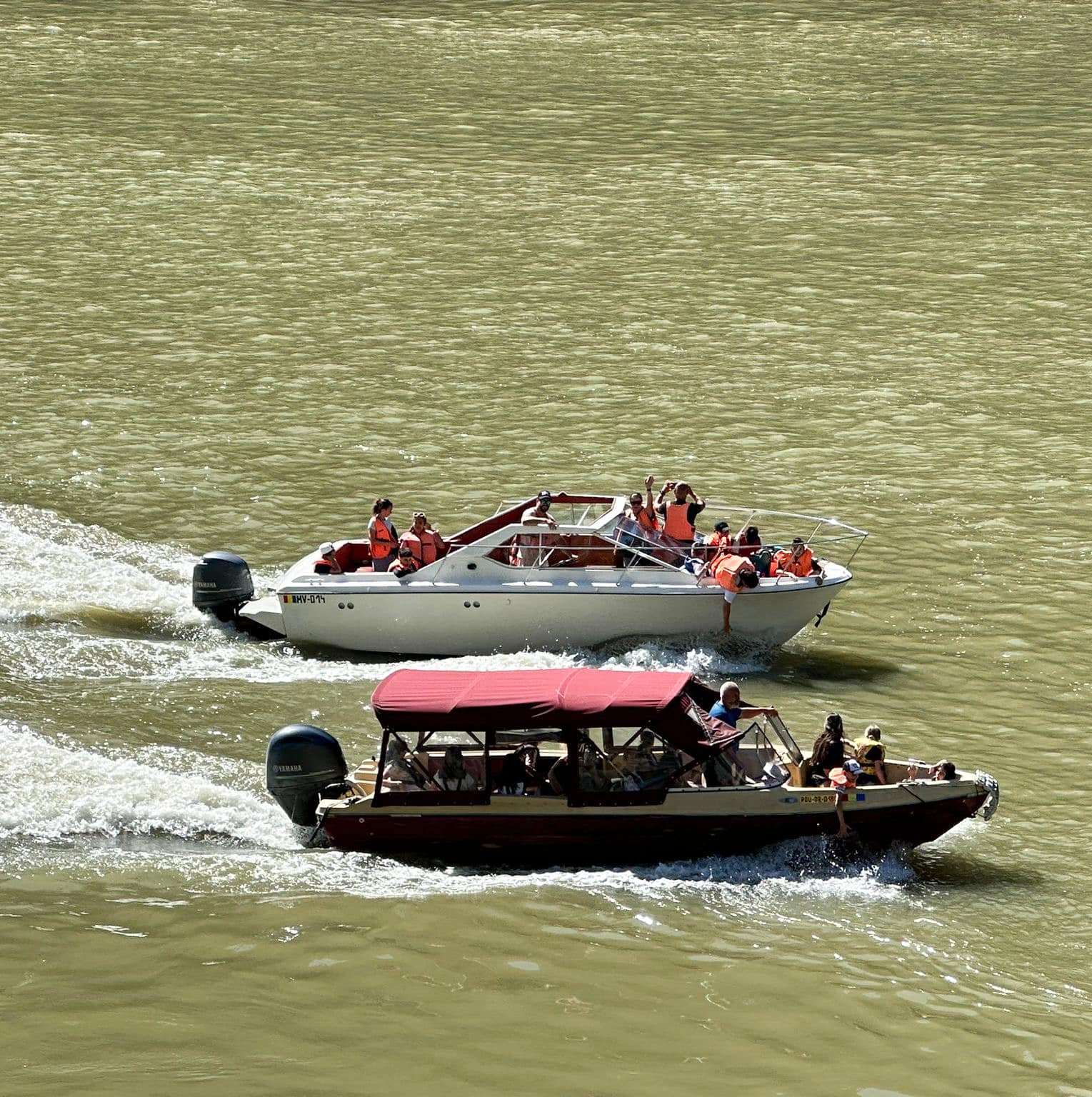 484590113_661206163076797_860443633715543963_n